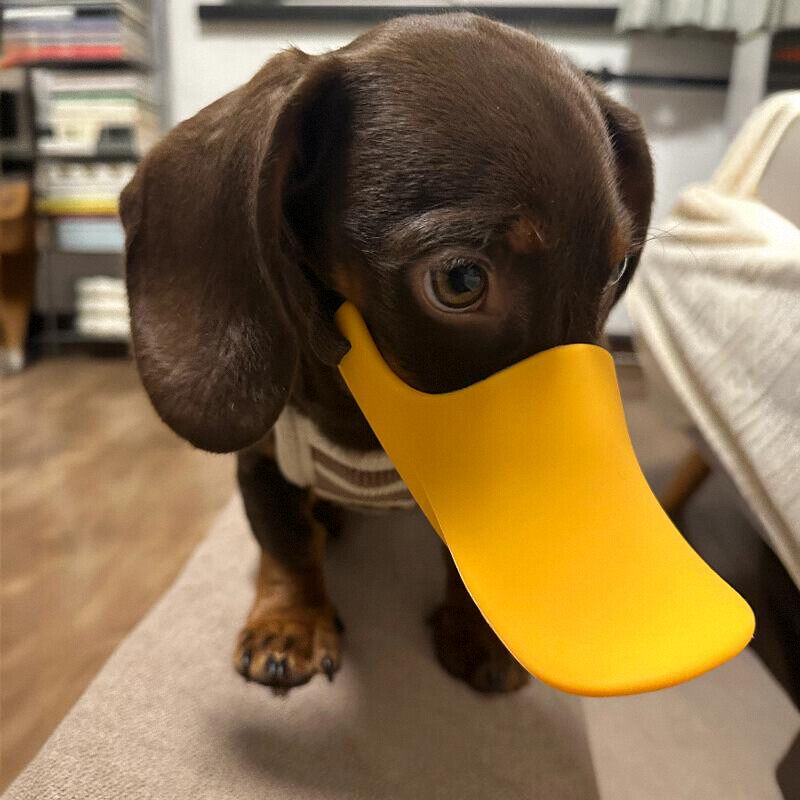 Dog Muzzle Silicone - Силиконовый намордник-утка для собак пород Wiener