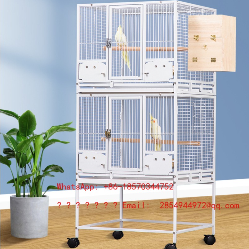 Bird Cage Parrot - Клетка для голубей и птиц 2026: