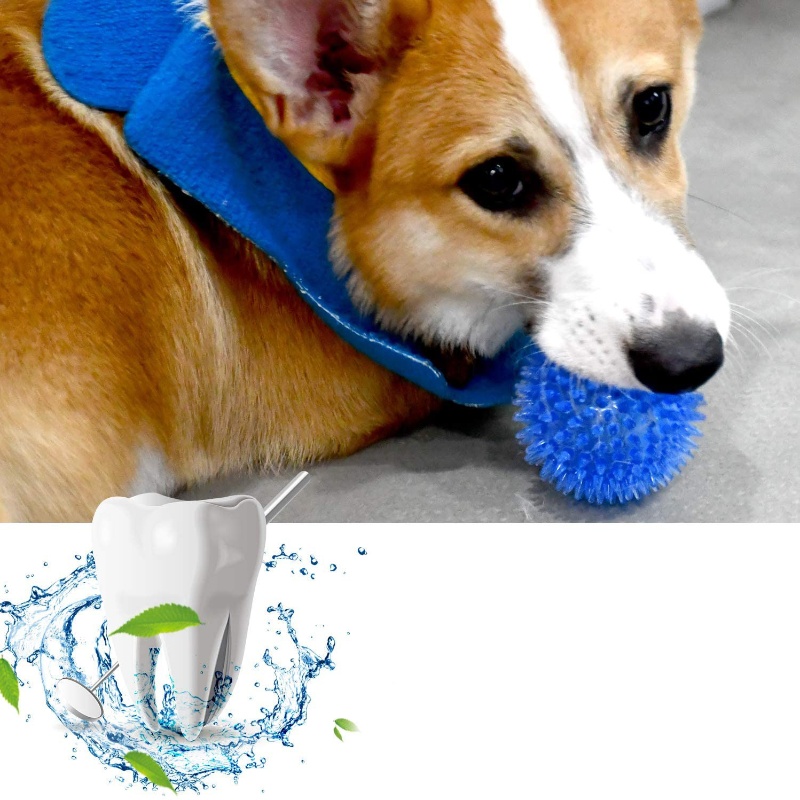Игрушечный мяч для домашних жи – обзор и цена Pet Dental Chew Toy
