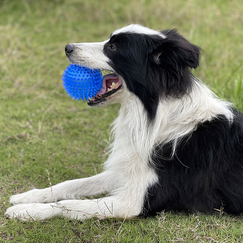 Игрушка-мячик TPR с шипами для – обзор и цена Pet Dental Chew Toy
