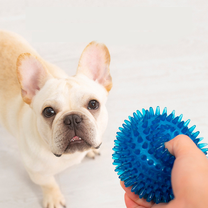 Высокая эластичность, французс – обзор и цена Pet Dental Chew Toy