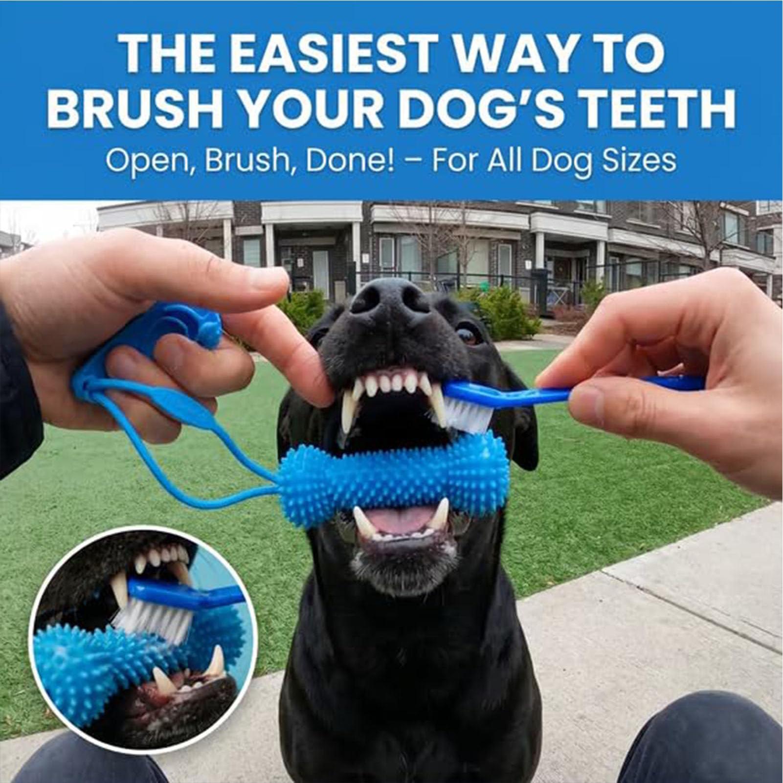 Игрушки для прорезывания зубов – обзор и цена Pet Dental Chew Toy