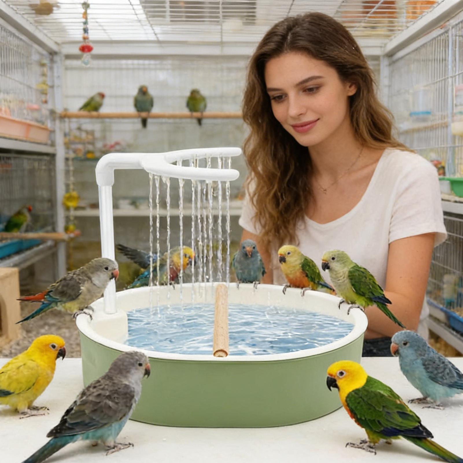 Автоматическая ванночка для пт – обзор и цена Bird Cage Parrot