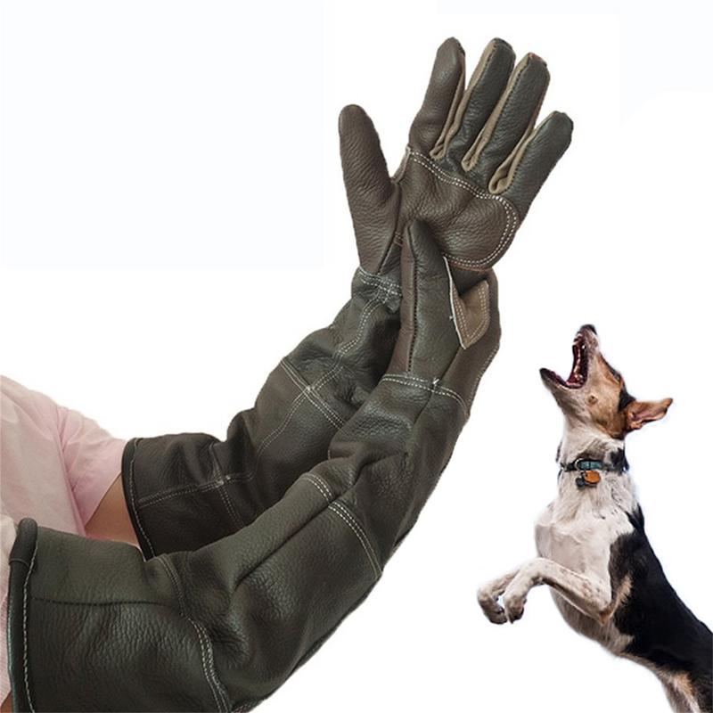 Перчатки из воловьей кожи для  – обзор и цена Pet Grooming Glove