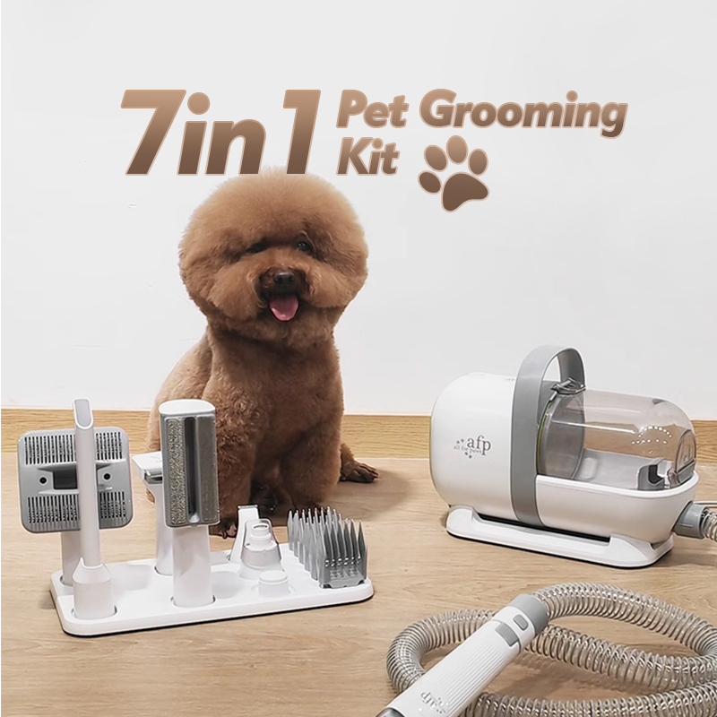 Профессиональный набор для ухо – обзор и цена Dog Grooming Clippers