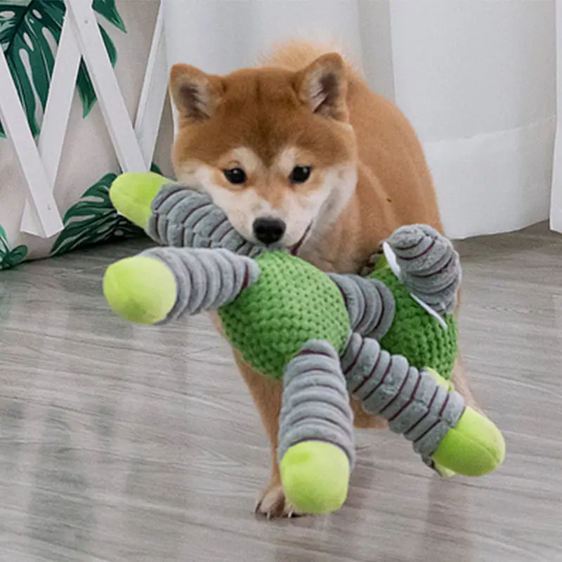 Неразрушимые пищащие игрушки д – обзор и цена Pet Dental Chew Toy