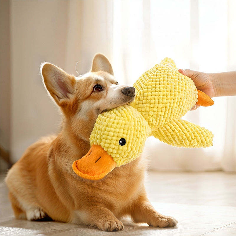Плюшевая игрушка-утка для соба – обзор и цена Pet Dental Chew Toy