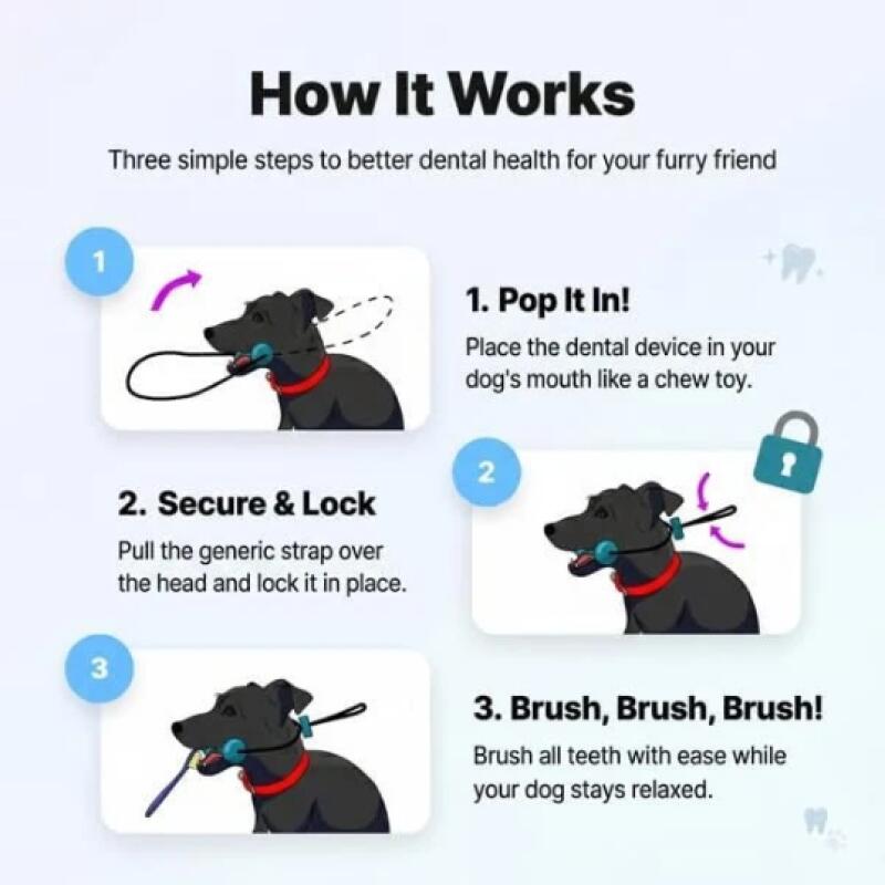 Двухфункциональная жевательная – обзор и цена Pet Dental Chew Toy