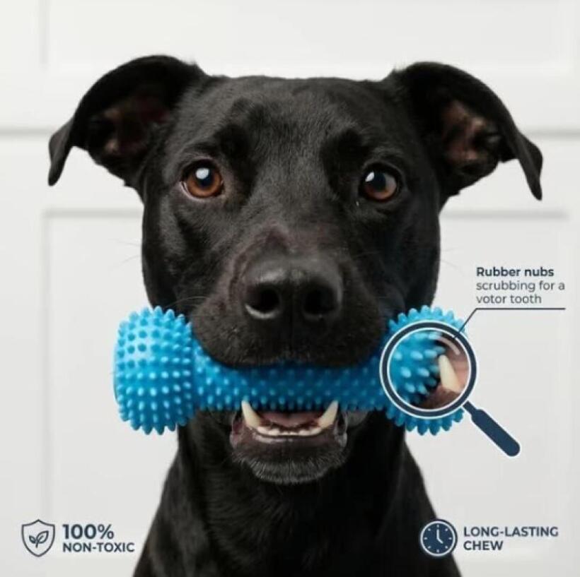 Двухфункциональная жевательная – обзор и цена Pet Dental Chew Toy