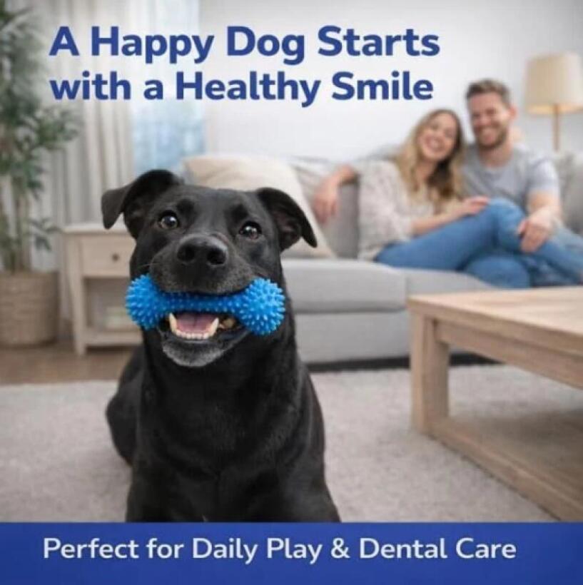 Двухфункциональная жевательная – обзор и цена Pet Dental Chew Toy