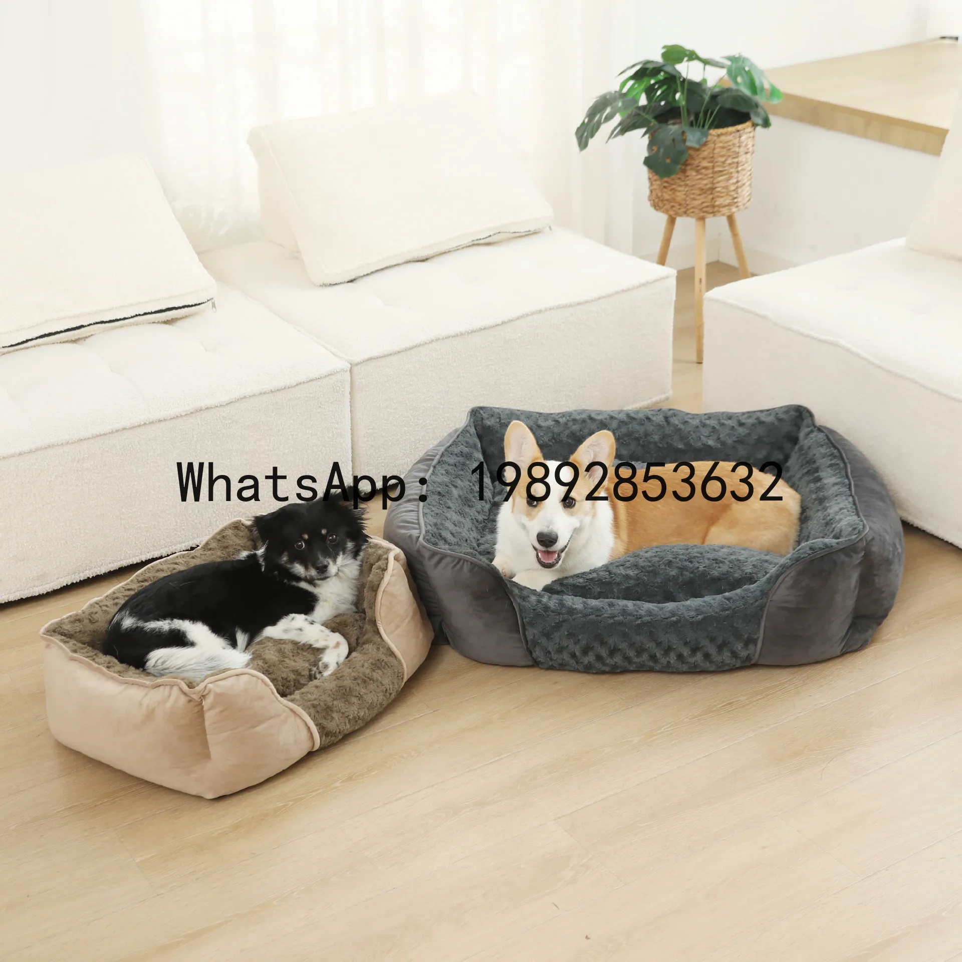 Домик для кошек X, полузакрыта – обзор и цена Pet X Supplies & Tack Howell Mi
