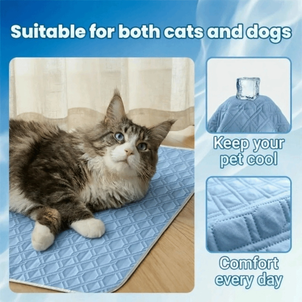 Новый летний охлаждающий коври – обзор и цена Dog Cooling Mat