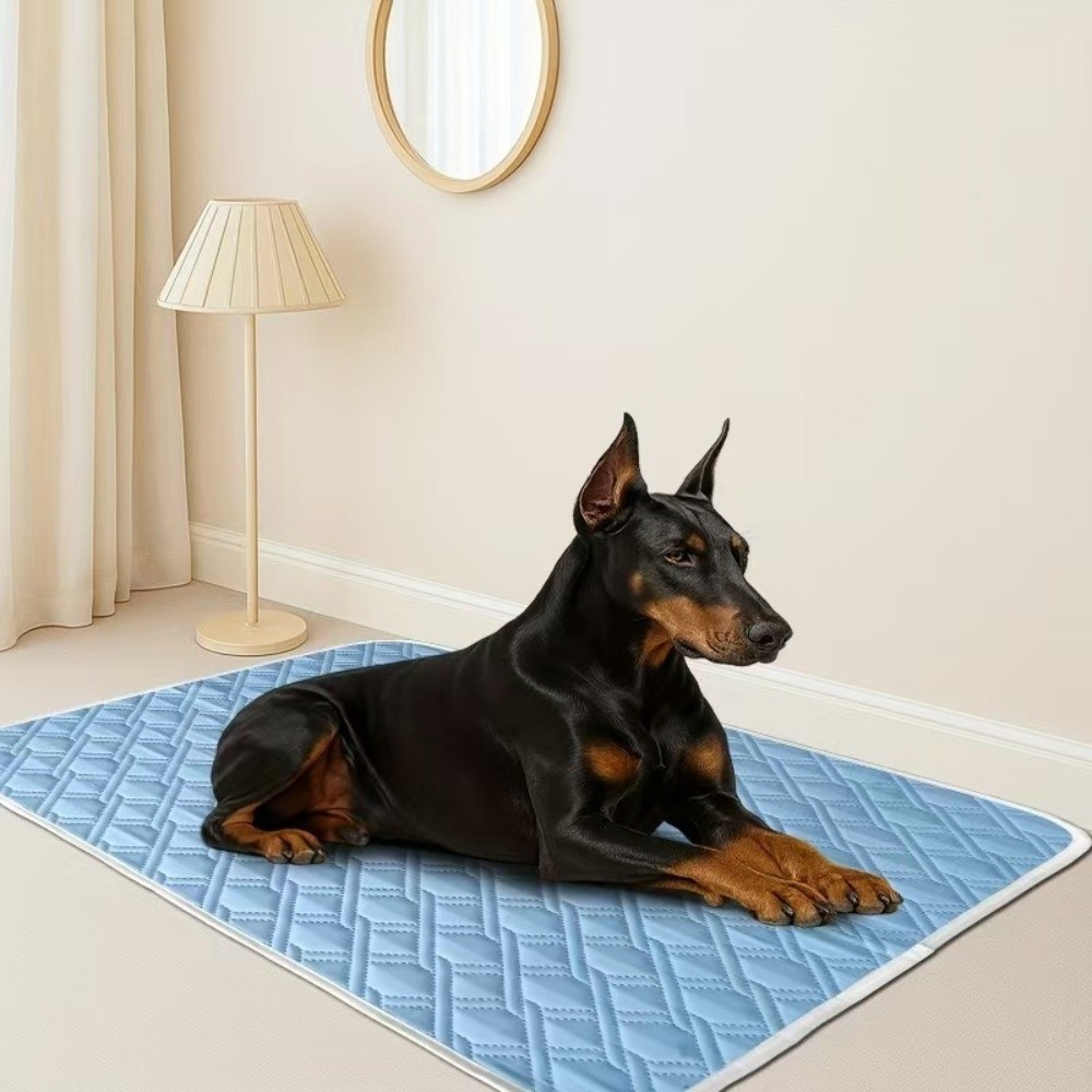 Новый летний охлаждающий коври – обзор и цена Dog Cooling Mat