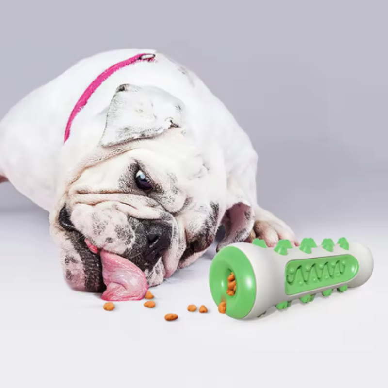 Безопасная зубная щетка-игрушк – обзор и цена Pet Dental Chew Toy