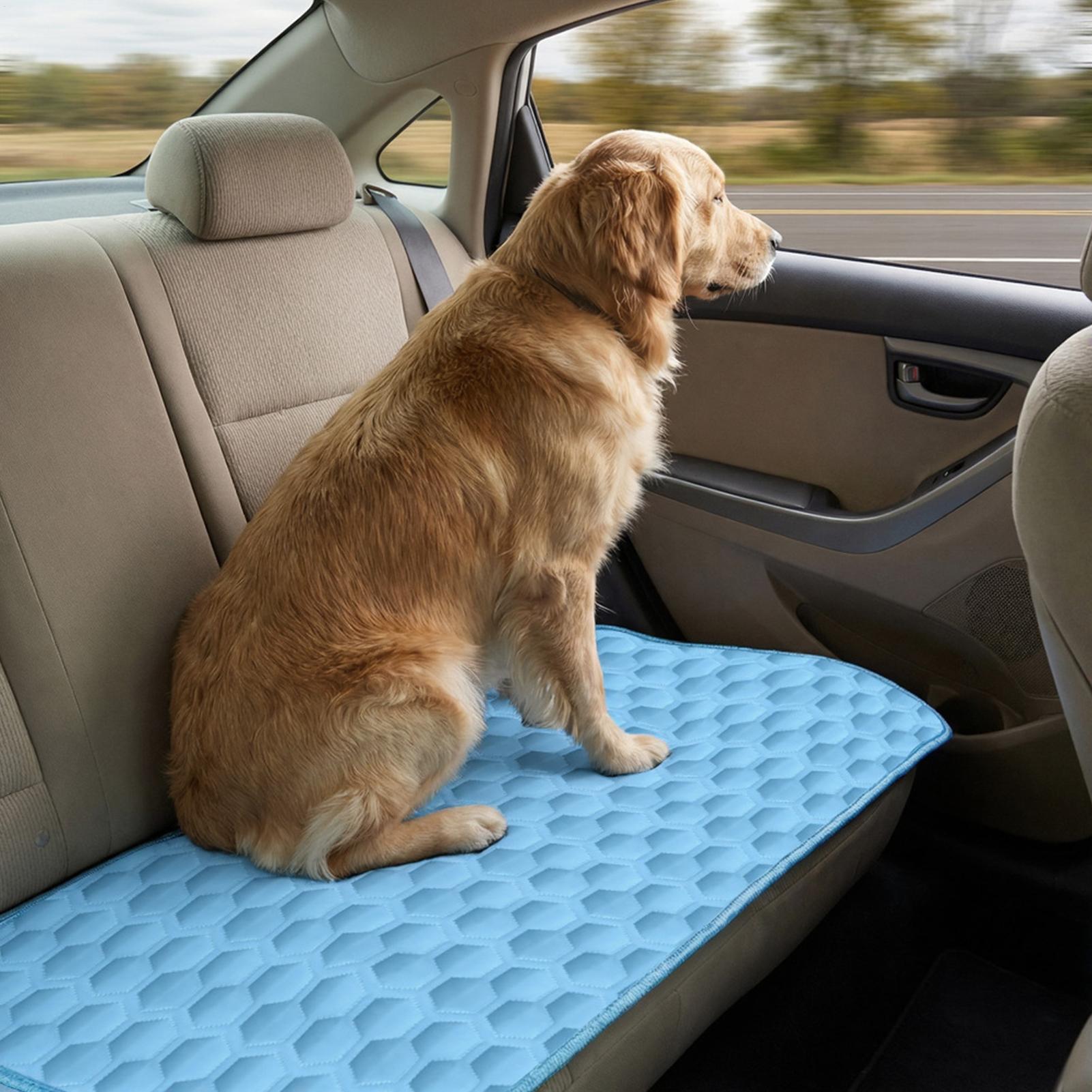 Охлаждающий коврик для собак,  – обзор и цена Dog Cooling Mat