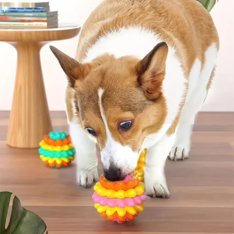 Игрушка для собак из TPR, усто – обзор и цена Pet Dental Chew Toy