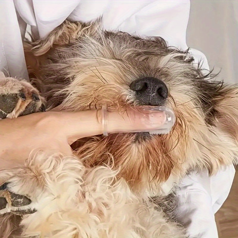5 зубных щеток для домашних жи – обзор и цена Dog Muzzle Silicone