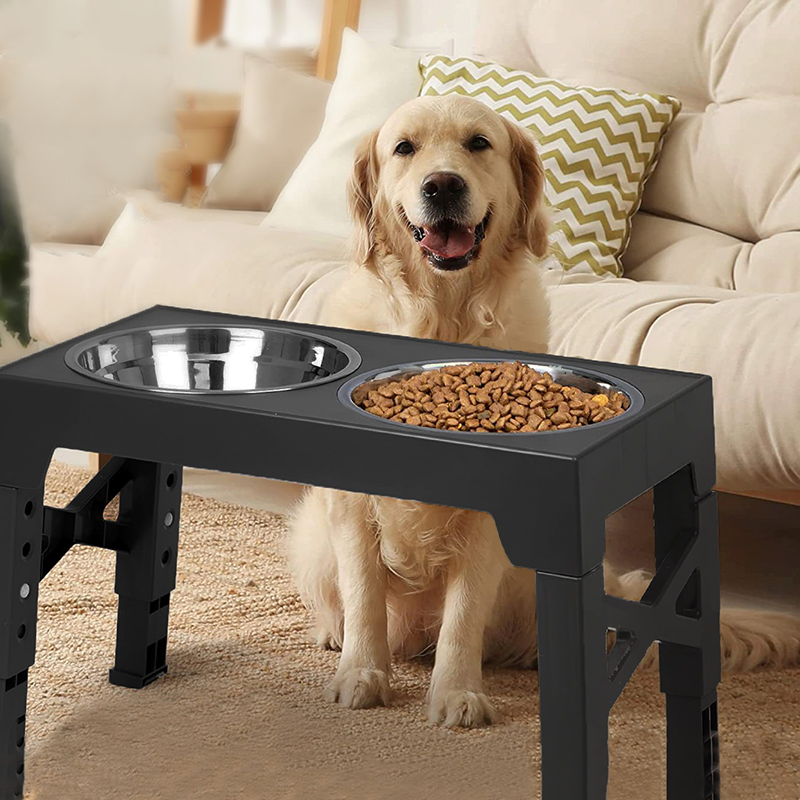 BOOTEELY Приподнятые миски для – обзор и цена Pet Supplies Dog Food