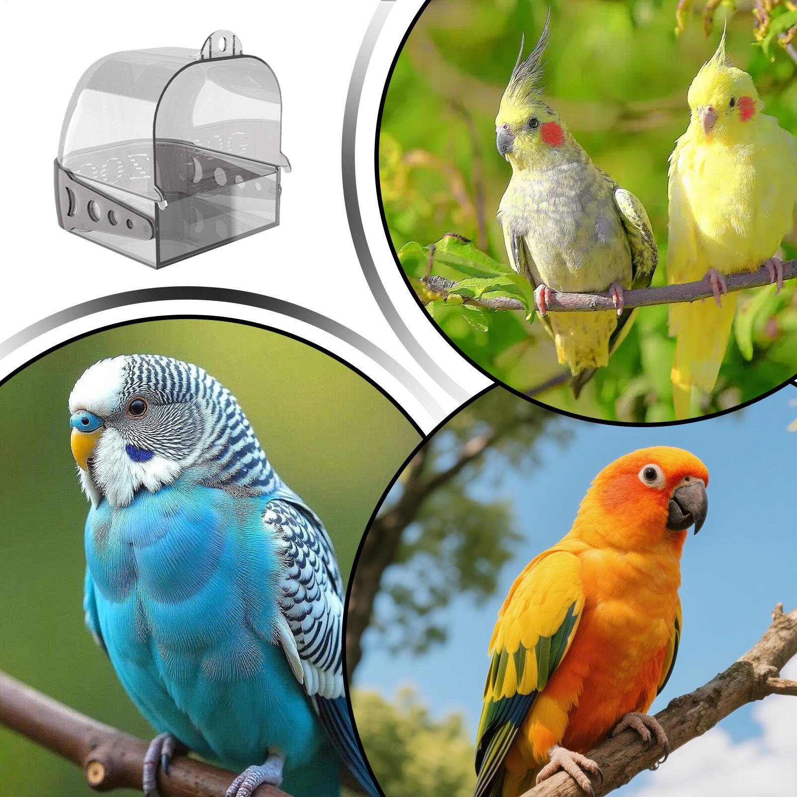 Ванночка для птиц для клетки,  – обзор и цена Bird Cage Parrot